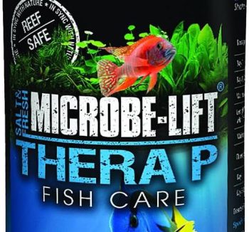 fish food for small fish