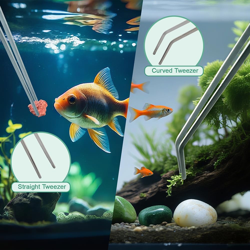 Syn-zer 2PCS Stainless Steel Reptile Feeding Tongs, 10.6 inch Straight and Curved Tweezers for Aquarium, Terrarium & Crafts Bearded Dragon Snake Tank Accessories, Planted Tank Tools Feeder for Lizards - Happypetzone.online - Image 6