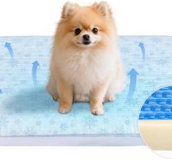 cooling dog bed summer