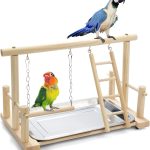 bird play perch stand
