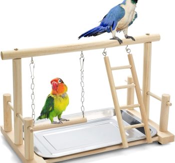 bird play perch stand