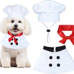 dog halloween costume