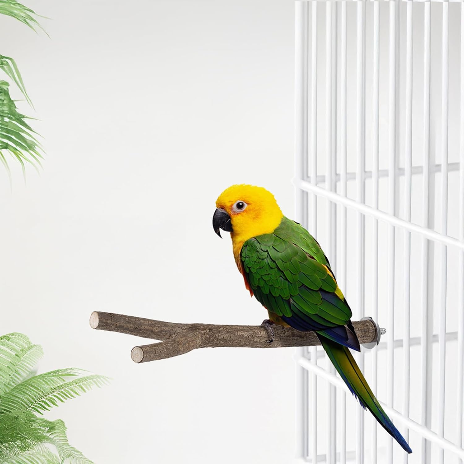 Niteangel Natural Wooden Perches for Bird Cages - Ideal for Cockatiels, Parakeets, Finches & Other Caged Birds (Natural Bark, 2 Pack) - Happypetzone.online - Image 6