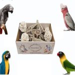 bird chewing toys