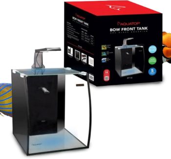 saltwater aquarium tank