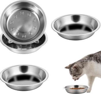 cat food for indoor cats