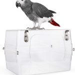 bird cage amazon best