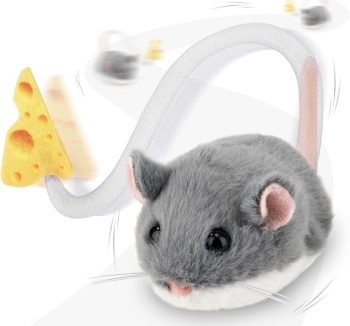 best cat toys