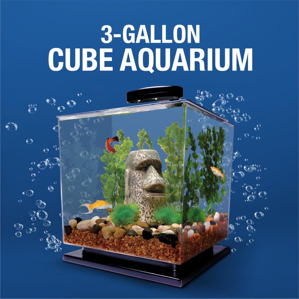 Tetra 3 Gallon Fish Tank, Aquarium Starter Kit with Pedestal Base, LED Light and Filter, For small tropical fish, guppies, goldfish, or betta - Happypetzone.online - Image 4