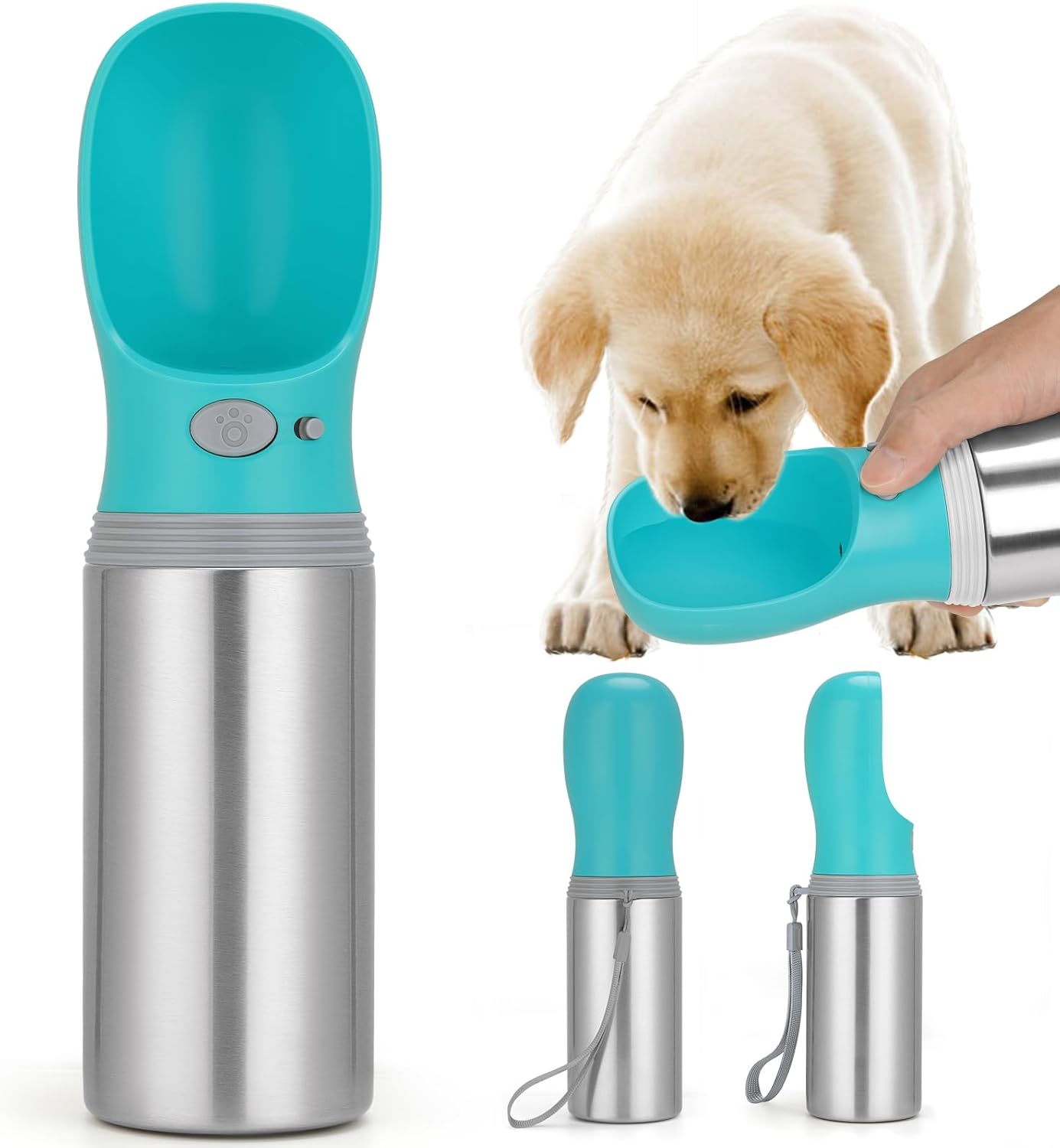dog travel water bottle