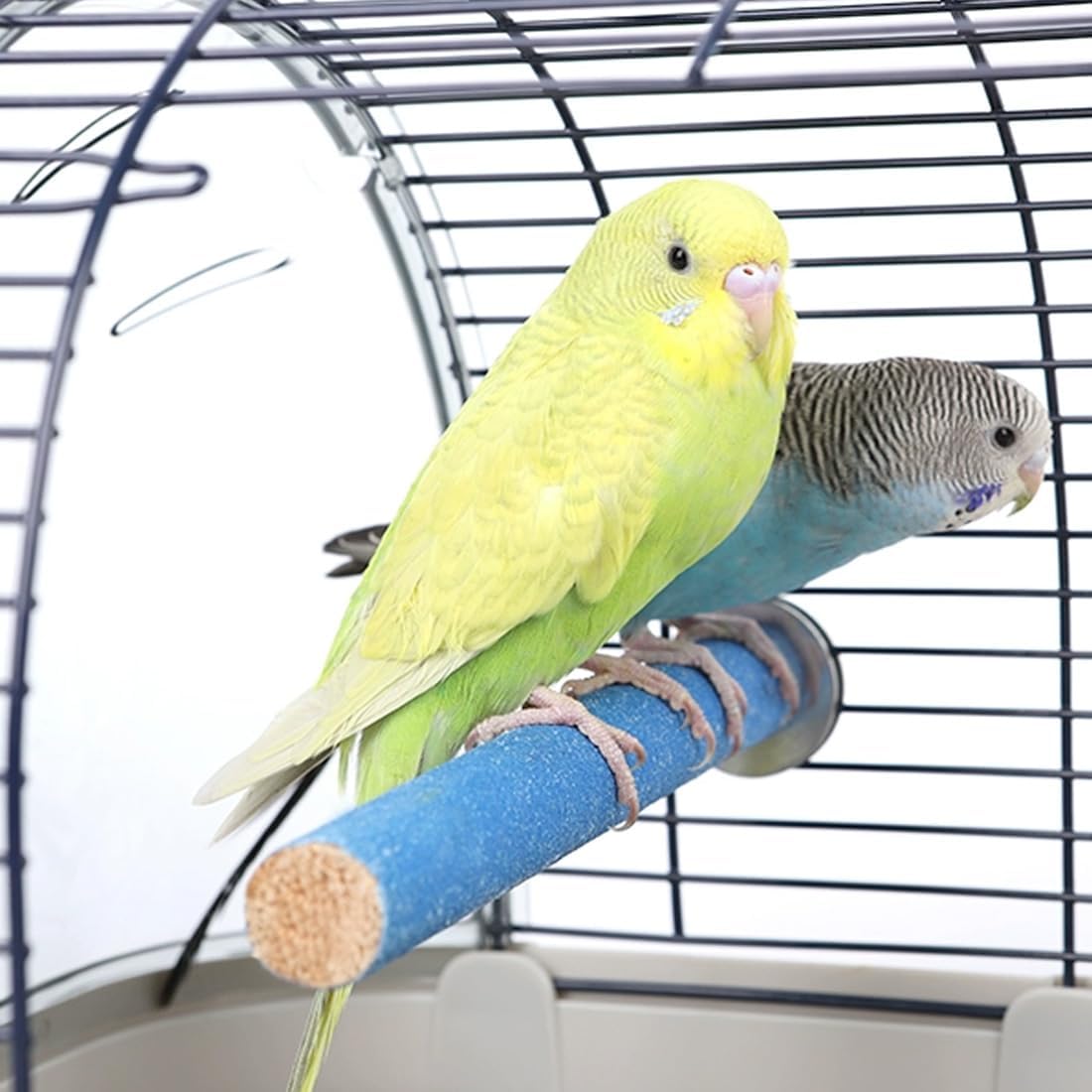 Hamiledyi 4 PCS Parrot Perch Stand Toy 7.9x0.8inch Bird Cage Perch Natural Paw Grinding Stick for Medium Parrots Parakeets Cockatiels Lovebirds Chewing Stick (M) - Happypetzone.online - Image 4