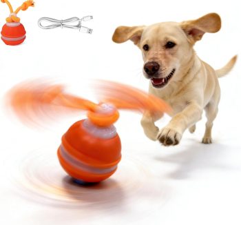 interactive dog toys