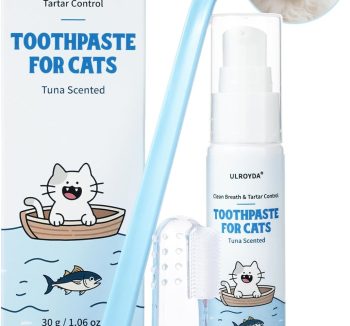 cat health care products