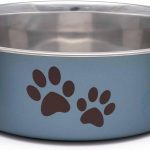dog food for small dogs