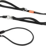 dog leash training
