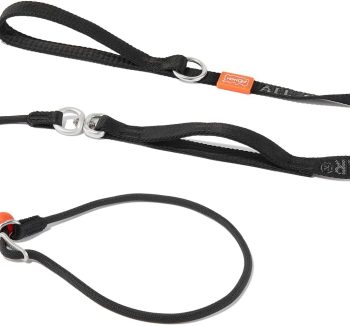 dog leash training
