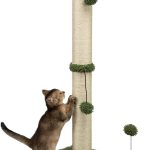 cat scratching post