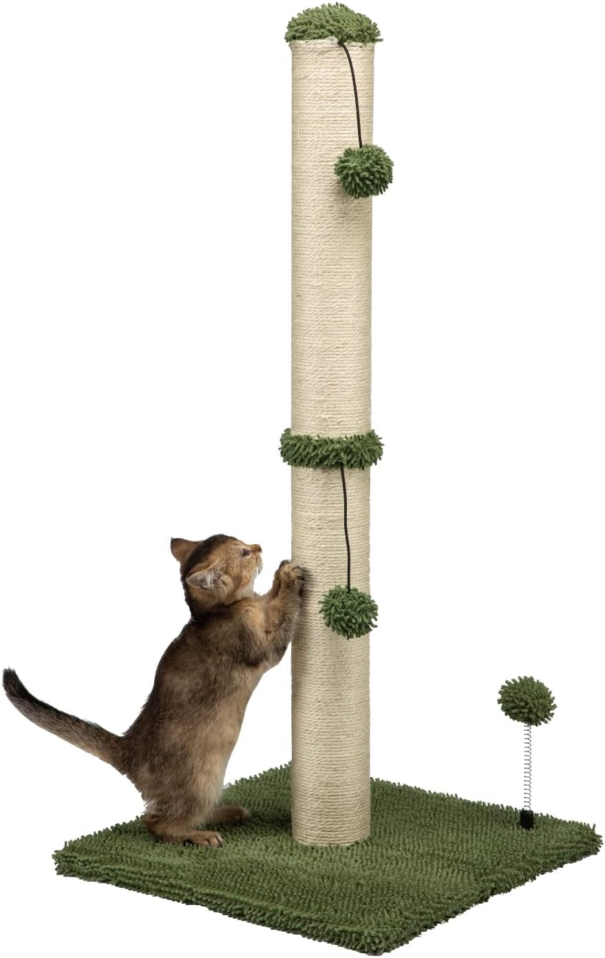 cat scratching post