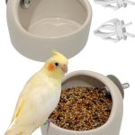 finch bird food