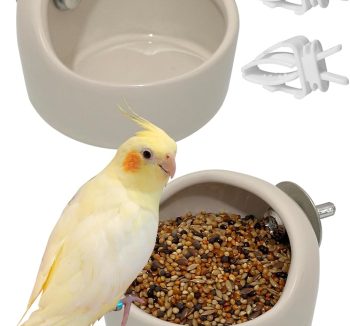 finch bird food