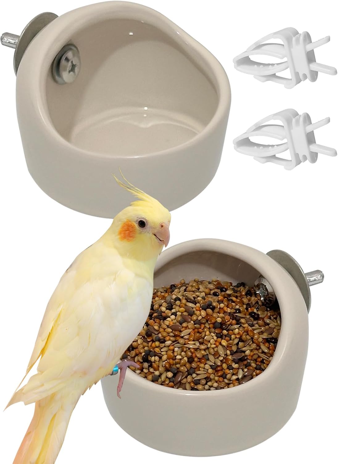 finch bird food