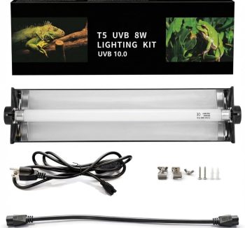 reptile lighting system