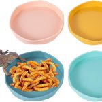 reptile feeding dish