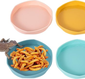 reptile feeding dish