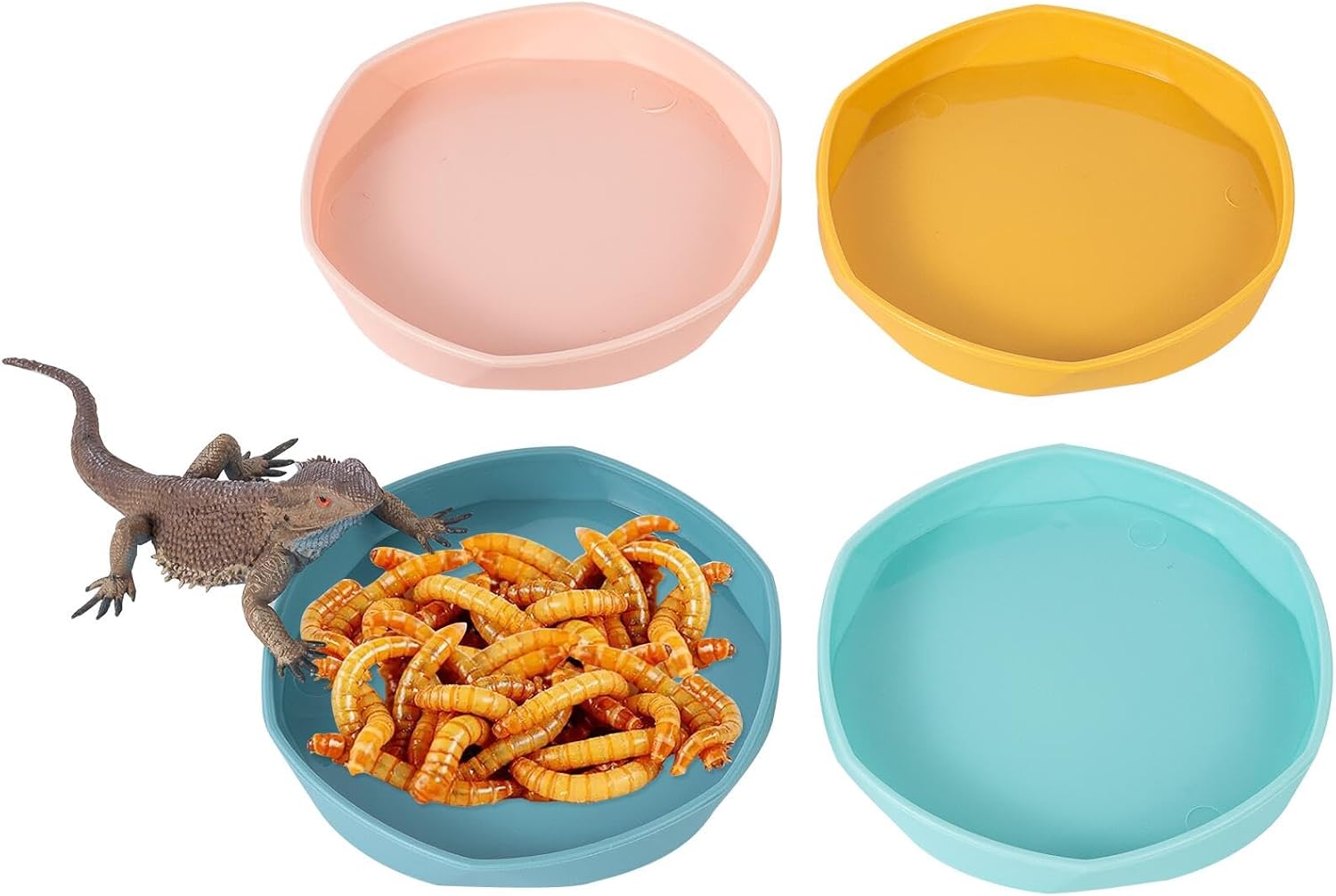 reptile feeding dish