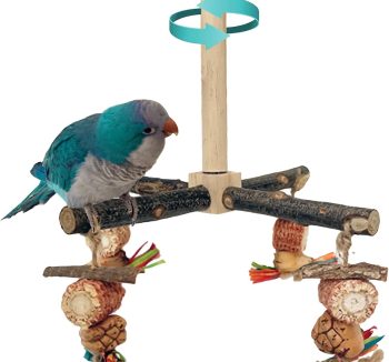 bird toys wooden