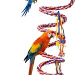 bird toys ropes