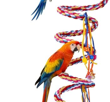bird toys ropes