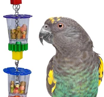bird puzzle toys