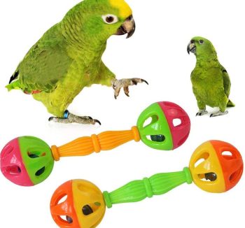 bird toys bells