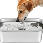 cat food for outdoor cats