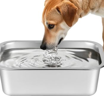 cat food for outdoor cats