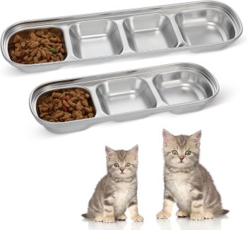 cat food for kittens