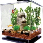 fish tank starter kit