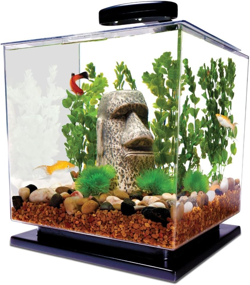 fish tank starter kit