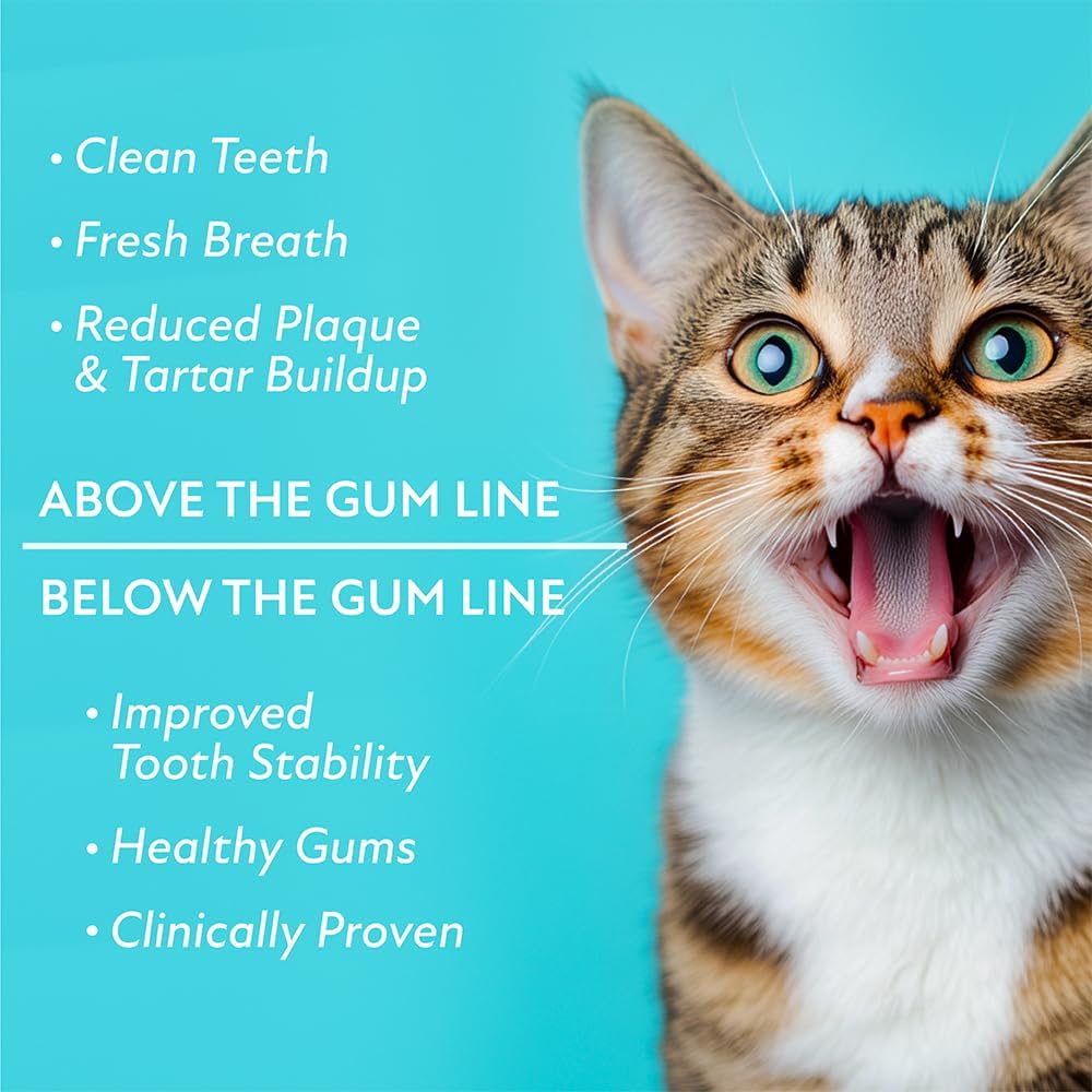 Dental Powder for Cats, Complete Oral Care for Cats, Probiotic Food Topper for Cat Dental Care - Happypetzone.online - Image 2