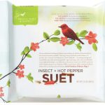 high protein bird food
