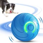 dog puzzle toys