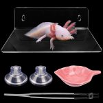 reptile food starter kit