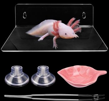 reptile food starter kit