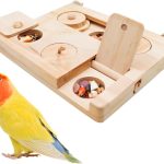 bird enrichment toys