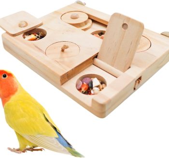 bird enrichment toys
