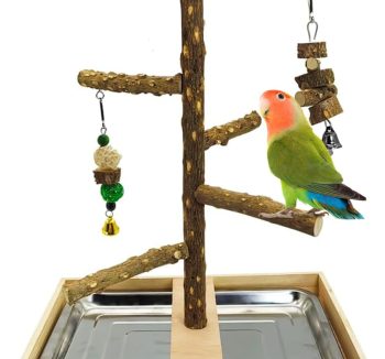 bird cage removable tray