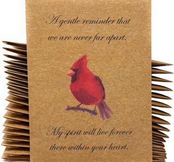 bird calcium supplement