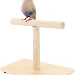 bird perch stand