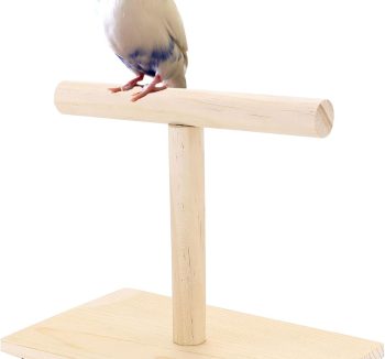 bird perch stand